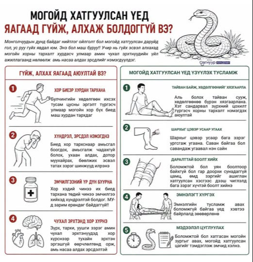 Могойд хатгуулсан үед Монголчууд ихэвчлэн гол, ус руу гүйх хандлагатай байдаг. Энэ нь маш буруу юм. Яагаад гэдгийг хараад аваарай!